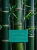 Grüne Seife mit Cannabis