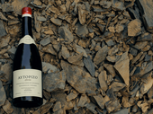 Κτήμα Θυμιόπουλου Κρασί " Αυτόριζο  2019" 750ml